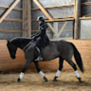 Meet your Posher, Jannah